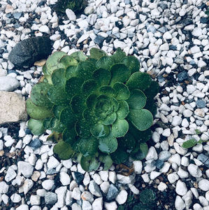 Meet your Posher, Gabby